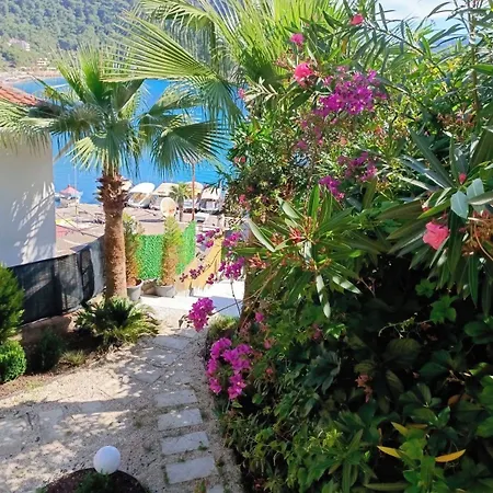 Es Hotel apartamentowy Turunç